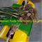 garlic root  stem cutting machine, fresh garlic root  stem cutter supplier